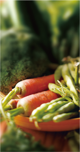 ダラット産野菜の魅力