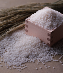 ベトナム産ジャポニカ米